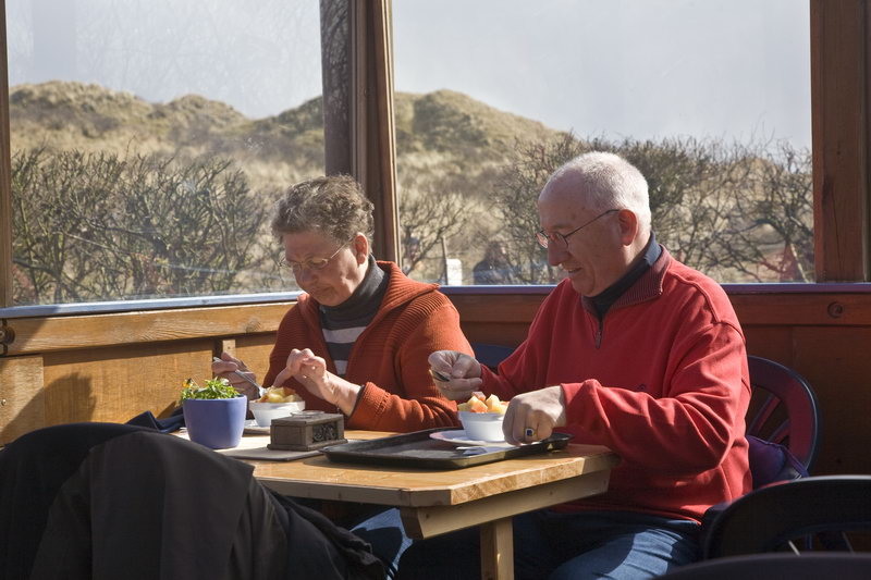 Dünenbudche Frühjahr